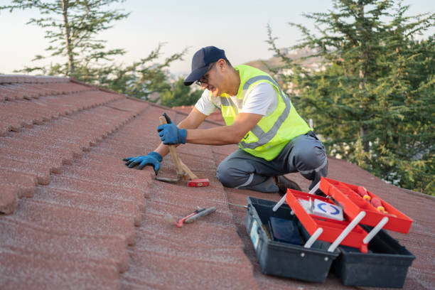 Best Roof Maintenance Services  in Chinook, MT