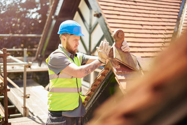Best Roof Maintenance Services  in Chinook, MT