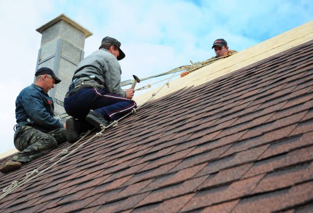 Best Flat Roof Repair Services  in Chinook, MT